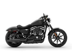 2021 HARLEY-DAVIDSON XL883N - IRON 883