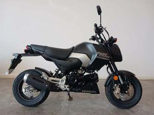 NEW HONDA MSX125 2024 FOR SALE IN AYLESFORD