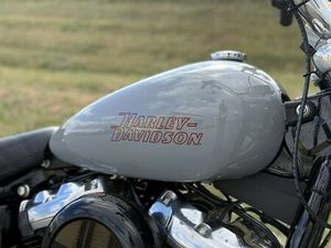 2024 HARLEY-DAVIDSON® FXST - SOFTAIL® STANDARD