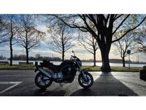 YAMAHA BT1100 BULLDOG V-TWIN MUSCLE — MOTOREN | YAMAHA — MARKTPLAATS