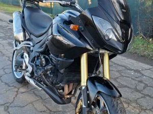 TRIUMPH TIGER 1050 TURYSTYK WILGA