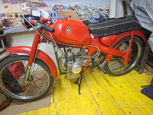 MOTOM 48 JUNIOR SPORT