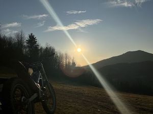 SCHERCO ST 290 (TRIAL) GLISNE