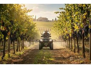 QUAD SEGAWAY AT5-L PER LAVORO