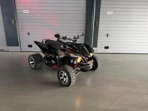 BEELINE BESTIA 5.5 SERVICE NEU LOF ZULASSUNG