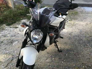 ZUZIKI CLADIUS 650 SV