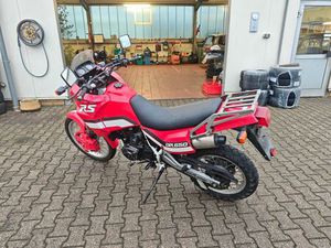 SUZUKI DR 650 RS