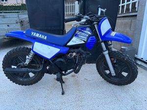 50 PIWI 2019 AVEC KIT ROULETTES