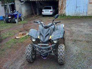 QUAD ADLY 300
