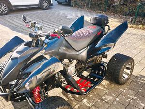 BEELINE ONLINE BESTIA S5.5 ADLY BAUGLEICH