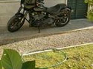 HARLEY-DAVIDSON SOFTAIL LOW RIDER - 2020