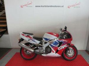 HONDA CBR 900 RR FIREBLADE (BJ 1995) — MOTOREN | HONDA — MARKTPLAATS