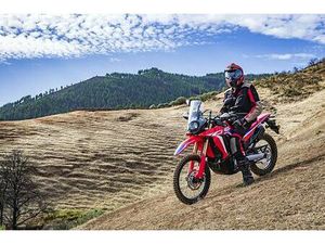 HONDA CRF 300 L / CRF 300 L RALLY