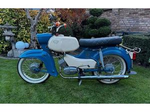 SIMSON HABICHT / SPERBER