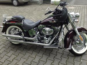 HARLEY-DAVIDSON SOFTAIL DELUXE (GEPFLEGT)