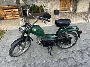 PONY GTX 503 AVD CANTON URI -