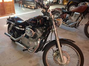 HARLEY DAVIDSON SPORTSTER 883 / XLH53C