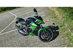 KAWASAKI Z125 04.2022