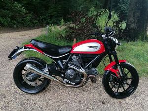 DUCATI SCRAMBLER 800 ICON - SCHNÄPPCHENPREIS ?️