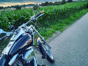 HARLEY DAVIDSON SOFTAIL CUSTOM