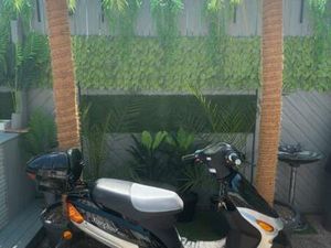 STAR QUAD JL50QT-5 ROLLER