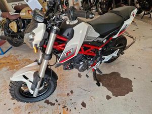 BENELLI TNT 125 SONDERUMBAU HUNDETRAINER FÜR WOHNMOBIL GEEIGNET