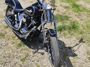 HARLEY SOFTAIL SPRINGER 1998 – STYLE OLD SCHOOL, RARE ET AUTHENTIQUE