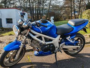 SUZUKI SV 650 - 2001