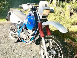 SUZUKI DR650 EXPERTISÉE DU JOUR!