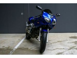 SUZUKI SV 650 - DER KLASSIKER