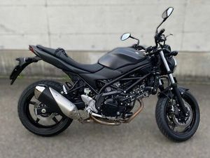 SUZUKI SV650 ( KW 56) LETZTE MFK 16.05.25 UND SERVICE