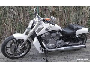VROD 1250 MUSCLE HARLEY DAVIDSON