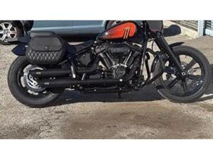 SOFTAIL STANDARD (2020) - FXST