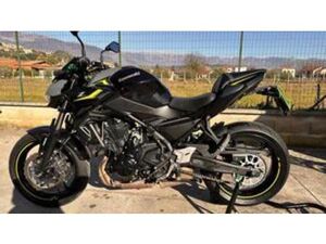 Z 650 PERFORMANCE (2021 - 24)