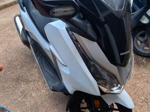 AVENDRE FORZA 300 2019