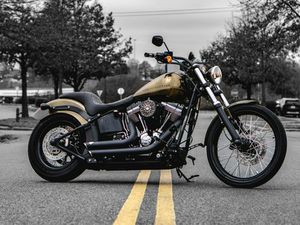 FXS 2013 BLACKLINE®