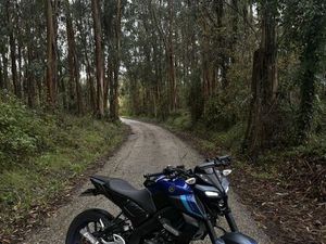 YAMAHA MT 125 CC 2025 SANTA CLARA E CASTELO VIEGAS