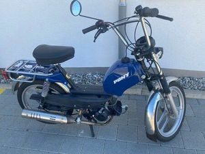 PONY GTX SCHWEIZER QUALITÄT JG 2022