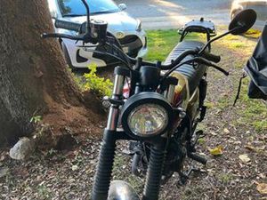 BRIXTON SAXBY 250 - 2020