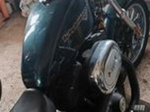 PER AMATORI , MOLTO BELLA