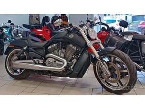 HARLEY DAVIDSON - VRSCF V-ROD MUSCLE