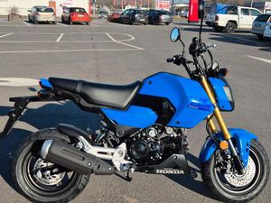 HONDA MSX125 GROM 2025 TAGESZULASSUNG