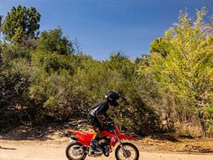 HONDA CRF110F (-) - BYTBIL.COM ◊