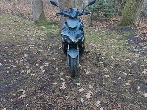 BEELINE PISTA BLACK EDITION