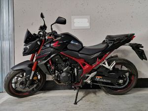 PROTEKTOR PLECÓW LEVEL 1 NOWY