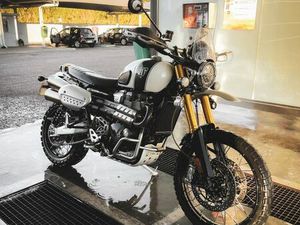 TRIUMPH SCRAMBLER 1200 XE TAVAREDE