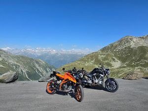 KTM 390 DUKE , 2024, TOP ZUSTAND