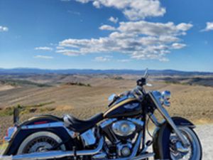 SOFTAIL DELUXE FLSTN