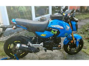 HONDA MSX125 GROM NEUZUSTAND