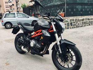 BENELLI BN 302 (28-12-2016)